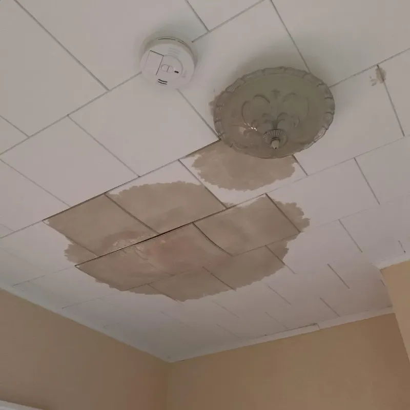 Ceiling Water Damage Repair in Camp Point, IL