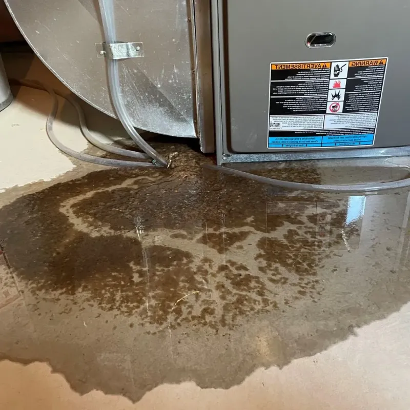 Pipe Burst and Leak Restoration in Camp Point, IL