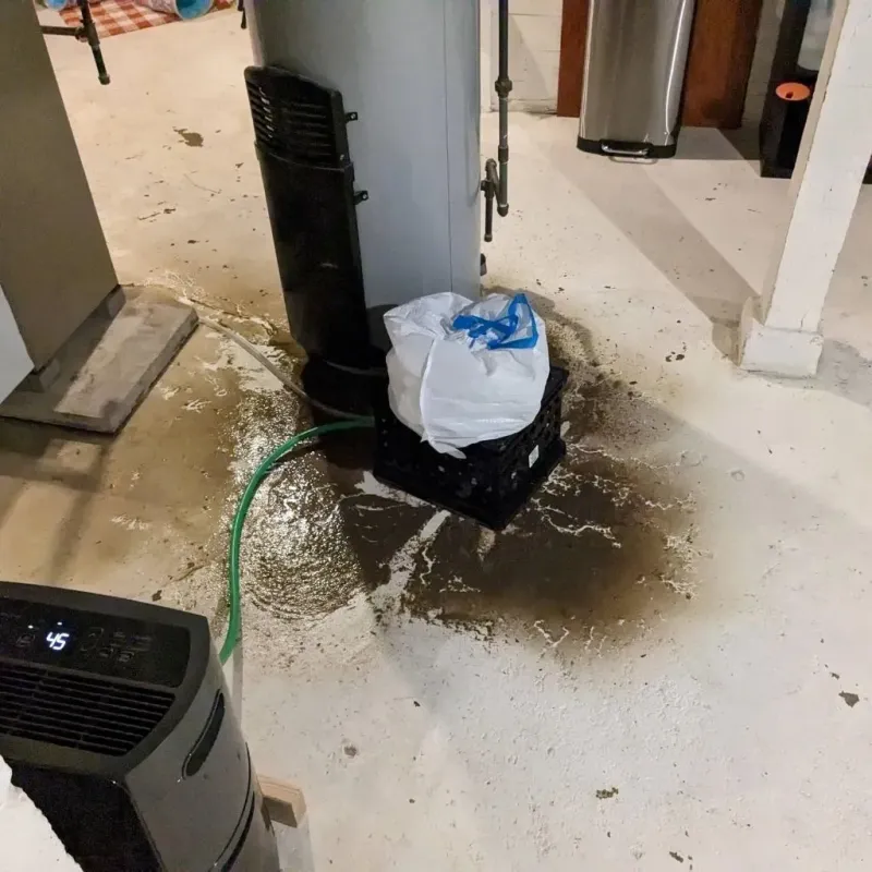 Sewage Backup Cleanup Service in Camp Point, IL